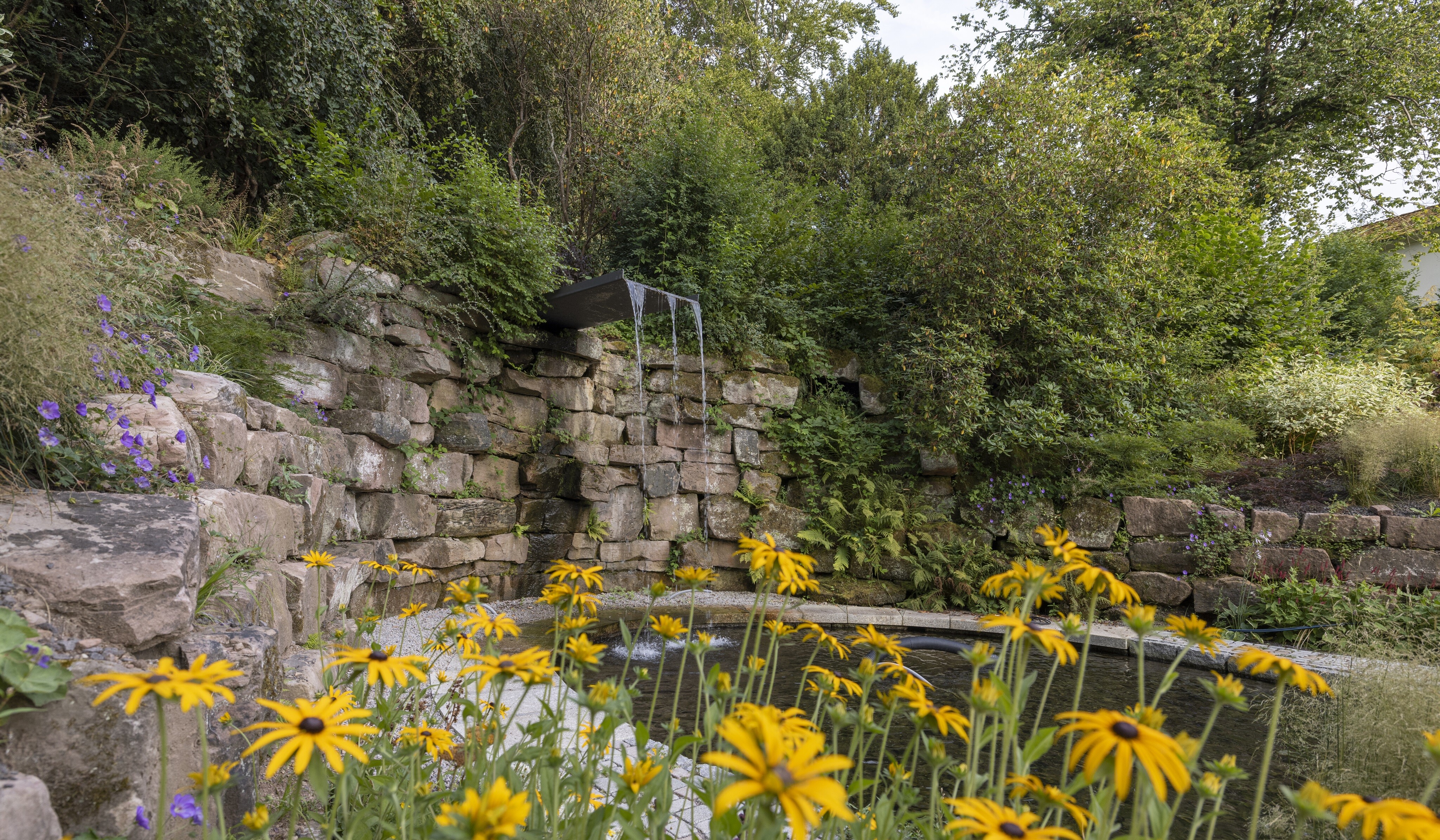 Blühendes Baiersbronn 2025 Gartenschau