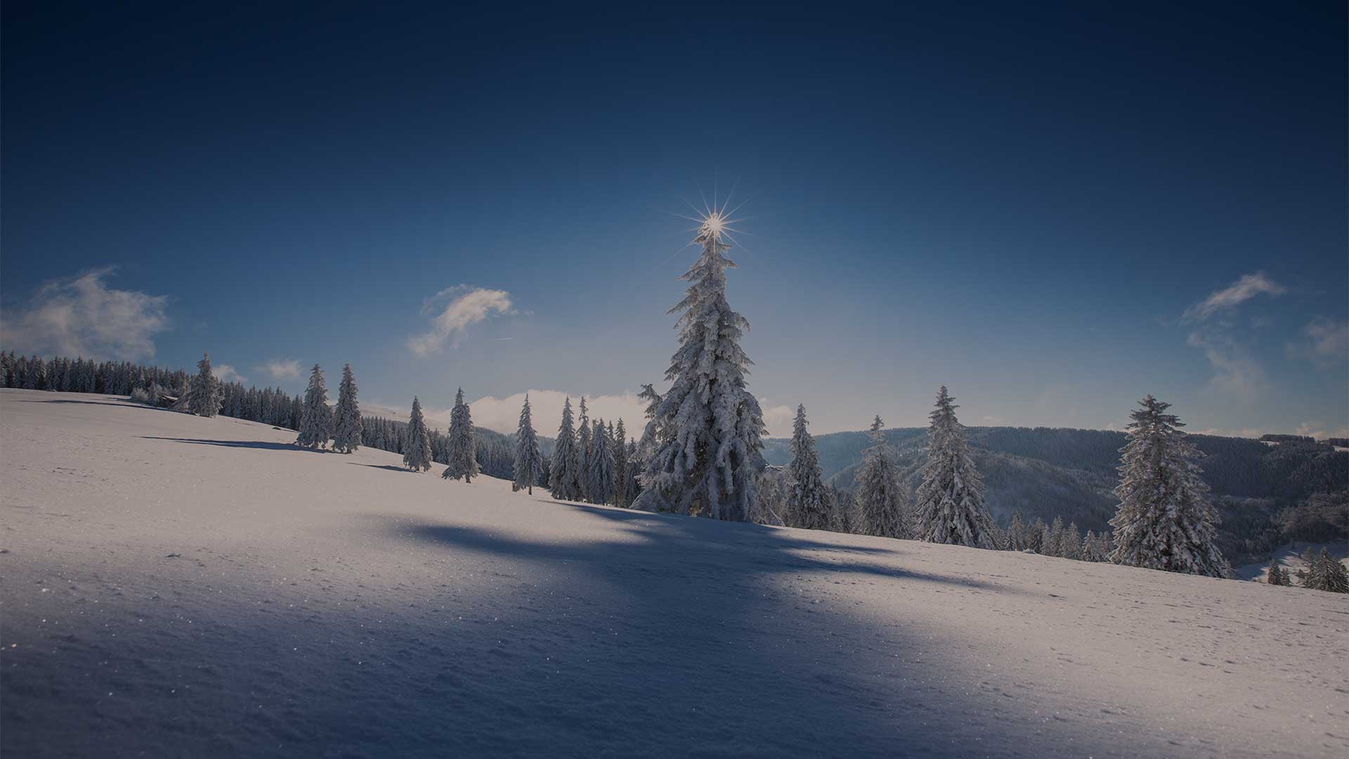 Das Bild zeigt in einer Fensteroptik mit weißen Rahmen die vier Jahreszeiten. Diese sind von links nach rechts folgend angeordnet: Winter, Frühjahr, Sommer und Herbst. Das Winterbild zeigt im oberen Bereich vereiste Tannenzweige. Im unteren Bereich ist ausschließlich ein blauer Hintergrund zu erkennen. Das Frühjahrfenster, zeigt die hellrosanen Zweige der Kirschblüte. Die Zweige ragen vom linken Bereich des Bildes schräg in den rechten unteren Bereich. Das Sommerbild besitzt den Ausschnitt einer Blumenwiese. In dieser sind lilafarbene Blumen und ein Schmetterling zu sehen. Im Herbstbild ist am unteren Ende ein Laubhaufen zu sehen.