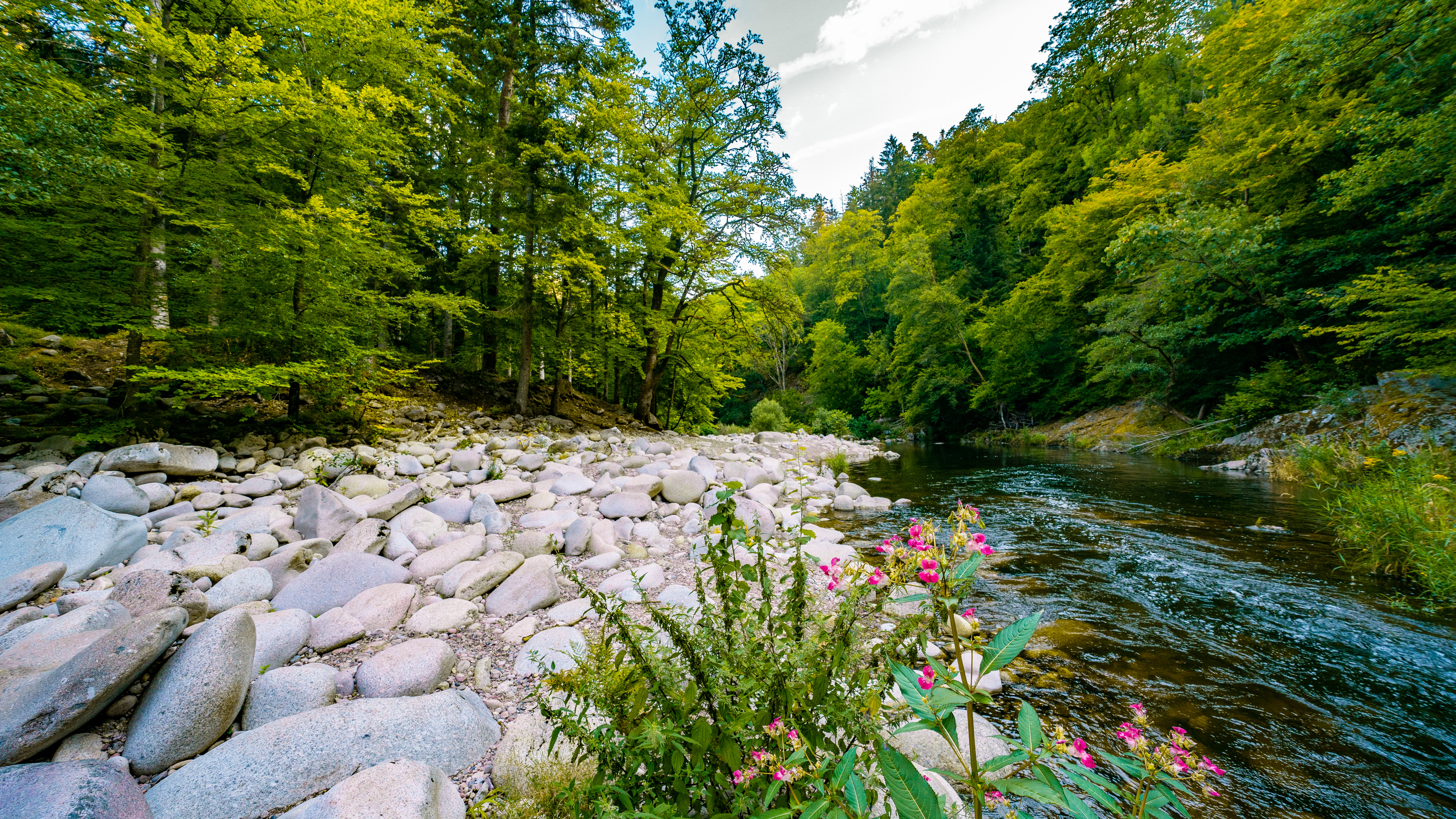 Ausblick zur Murg im Hotel Sackmann. 