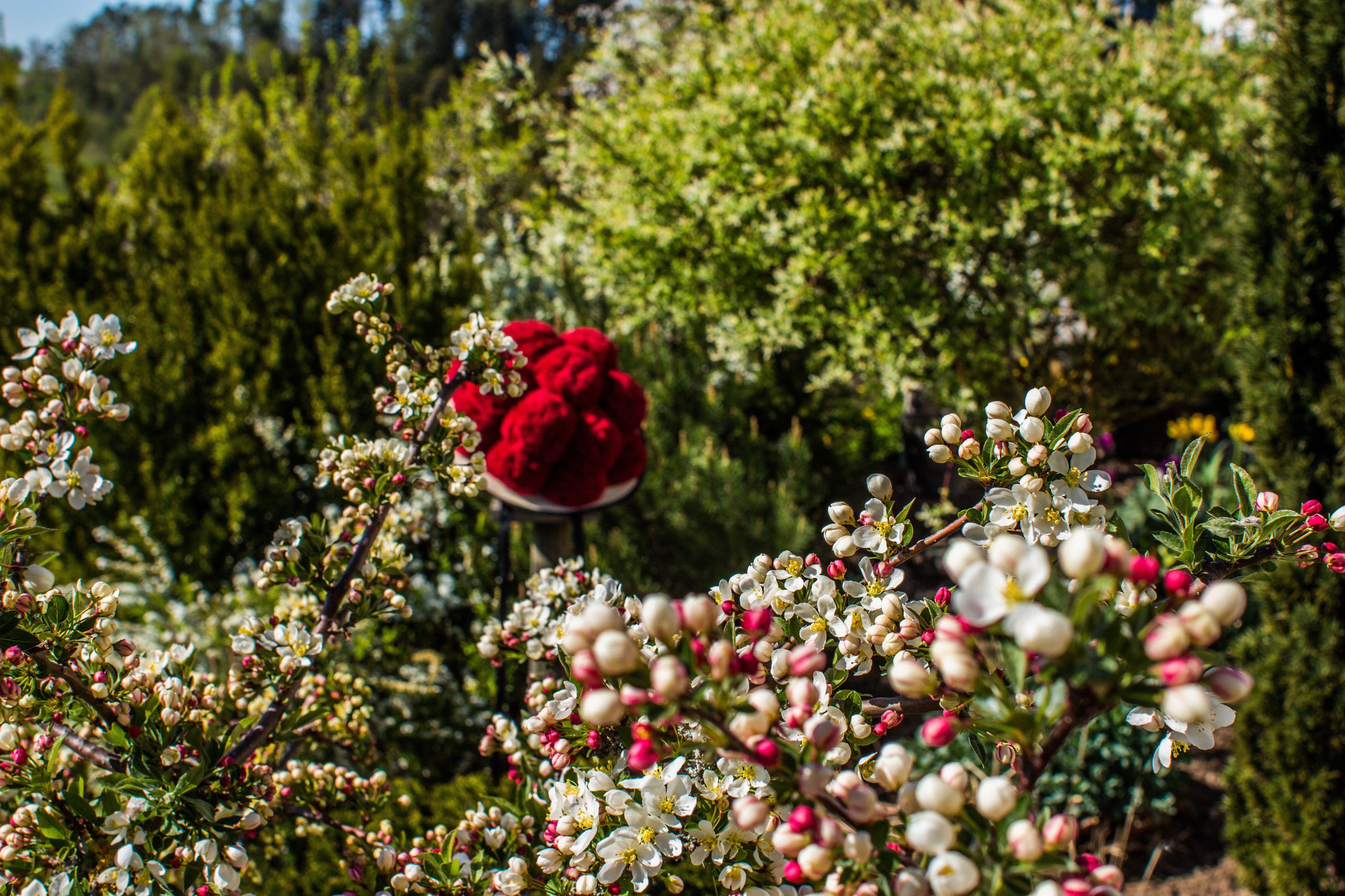 Das Bild zeigt in einer Fensteroptik mit weißen Rahmen die vier Jahreszeiten. Diese sind von links nach rechts folgend angeordnet: Winter, Frühjahr, Sommer und Herbst. Das Winterbild zeigt im oberen Bereich vereiste Tannenzweige. Im unteren Bereich ist ausschließlich ein blauer Hintergrund zu erkennen. Das Frühjahrfenster, zeigt die hellrosanen Zweige der Kirschblüte. Die Zweige ragen vom linken Bereich des Bildes schräg in den rechten unteren Bereich. Das Sommerbild besitzt den Ausschnitt einer Blumenwiese. In dieser sind lilafarbene Blumen und ein Schmetterling zu sehen. Im Herbstbild ist am unteren Ende ein Laubhaufen zu sehen.